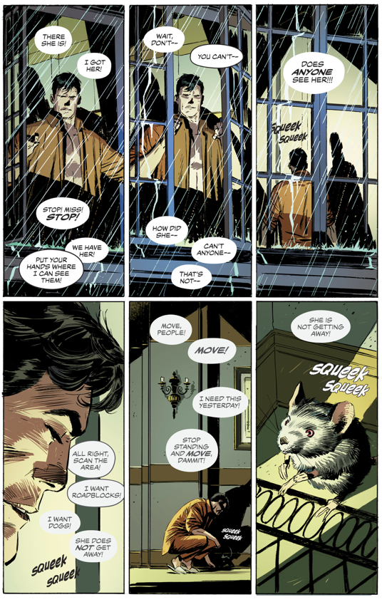 Catwoman Breaks Into Wayne Manor (Rebirth)
