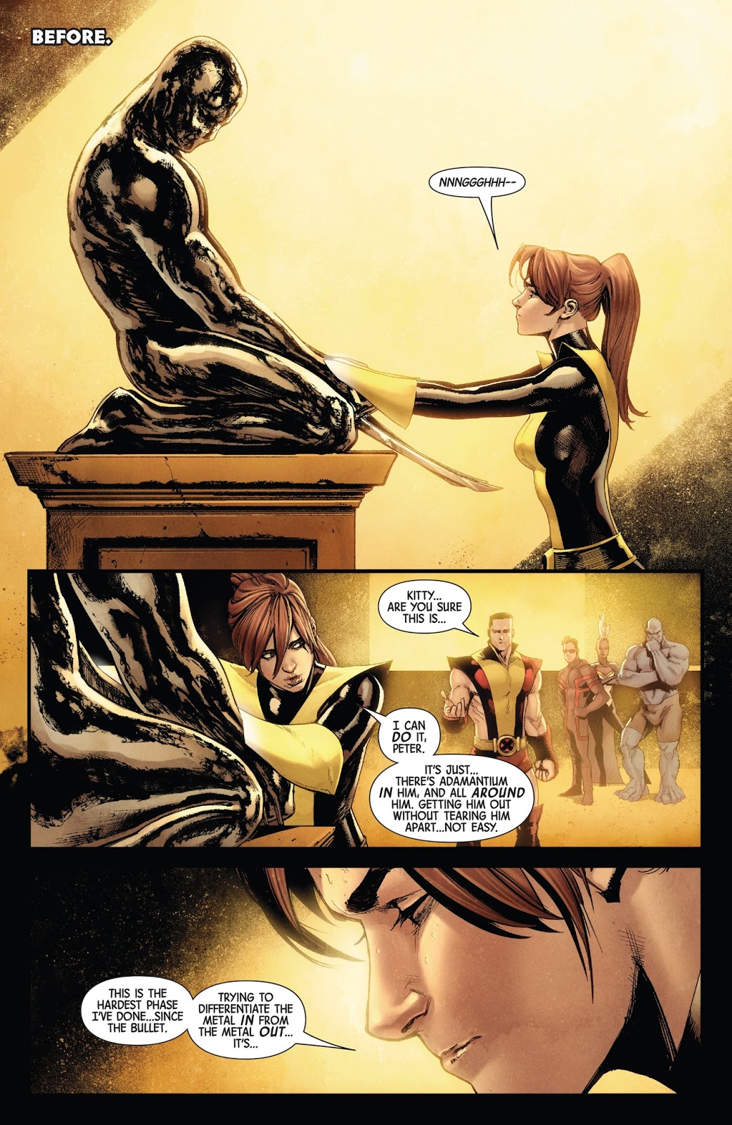Wolverine's Funeral (Hunt For Wolverine)
