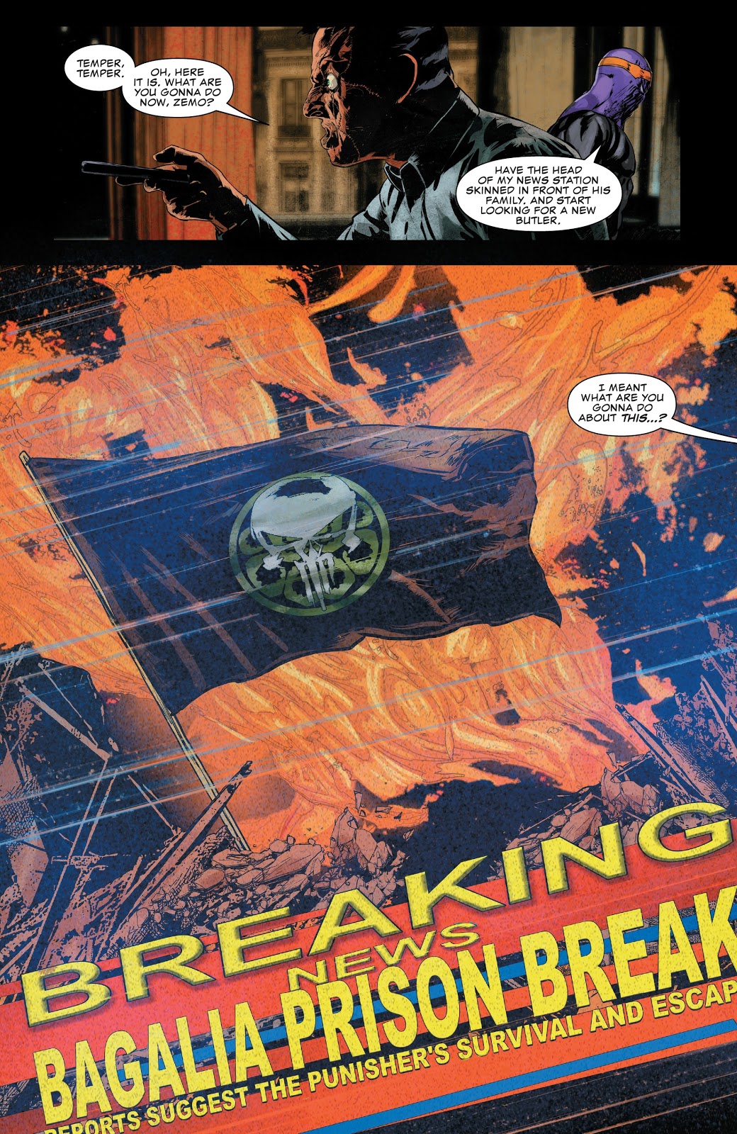 The Punisher Declares War On Hydra 