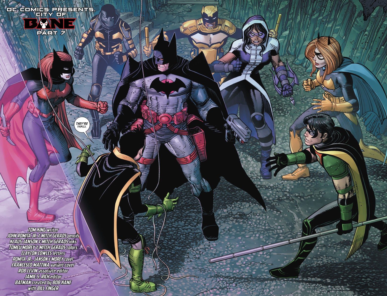 Flashpoint Batman VS The Bat Family 